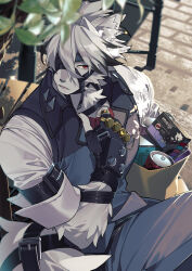 von lycaon from zenless zone zero