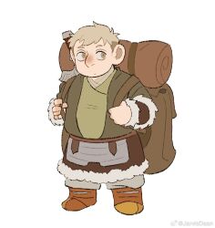 laios touden from dungeon meshi