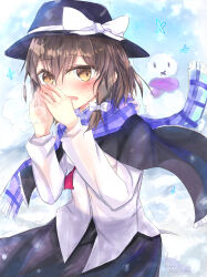 usami renko from touhou