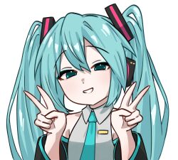 hatsune miku from vocaloid
