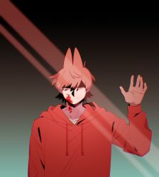 tord (eddsworld) from eddsworld