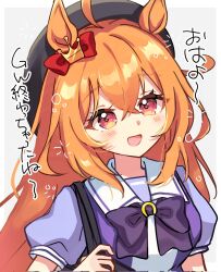 umamusume fan art