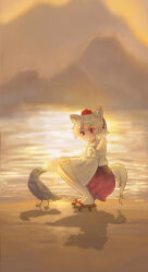 inubashiri momiji from touhou