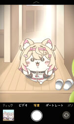 chiikawa (character) from chiikawa
