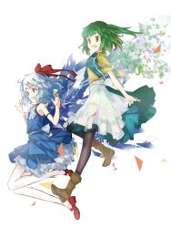 cirno from touhou by loxodon