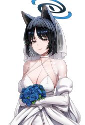 kikyou (blue archive) from blue archive