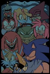 amy rose from sonic (series)