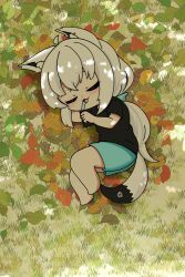 shirakami fubuki from hololive
