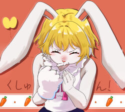 carrot (one piece) from one piece