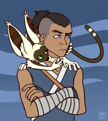 momo (avatar) from avatar legends