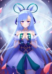 mejiro ardan (umamusume) from umamusume