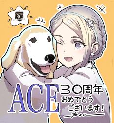 ace combat fan art