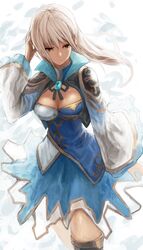 wang yuanji from shin sangoku musou by nigoro