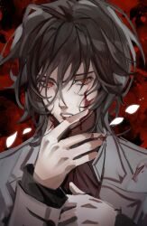 kuran kaname from vampire knight