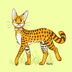serval (kemono friends) from kemono friends