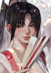 shiranui mai from fatal fury by hankuri