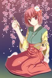 hieda no akyuu from touhou by kyoukarenge