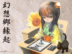 hieda no akyuu from touhou by asai genji