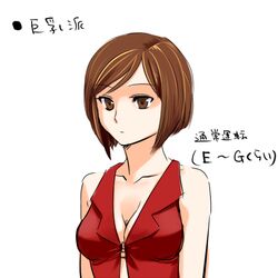 meiko from vocaloid by satou m