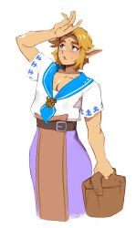link from the legend of zelda by combos & doodles