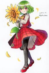 kazami yuuka from touhou
