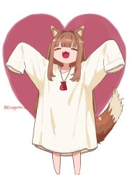 holo from spice and wolf