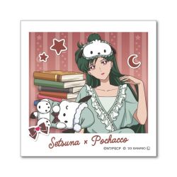 meiou setsuna from bishoujo senshi sailor moon