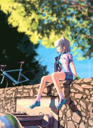 shiroko (blue archive) from blue archive