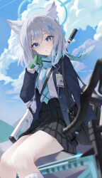 shiroko (blue archive) from blue archive