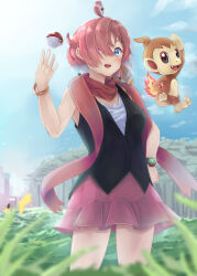 chimchar from pokemon by sawa nao