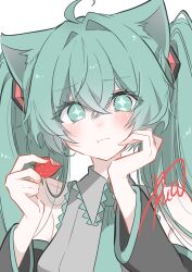 hatsune miku from vocaloid
