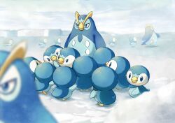 piplup from pokemon