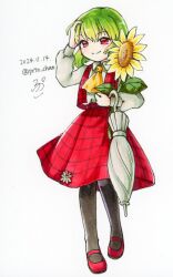 kazami yuuka from touhou