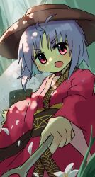 sukuna shinmyoumaru from touhou