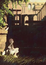 yorda from ico