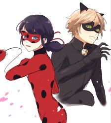 adrien agreste from miraculous ladybug