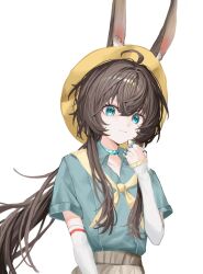 amiya (arknights) from arknights