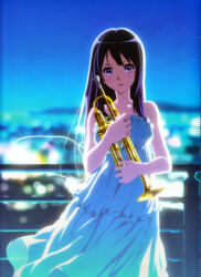 kousaka reina from hibike! euphonium by ikeda shouko