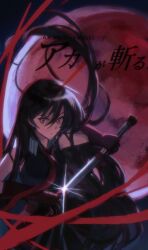 akame ga kill! fan art