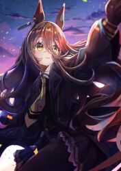 manhattan cafe (creeping shadow) (umamusume) from umamusume