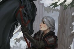 ciri from the witcher (series)