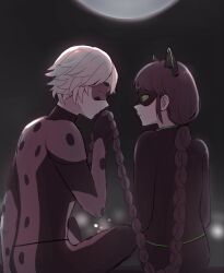 adrien agreste from miraculous ladybug