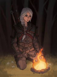 ciri from the witcher (series)
