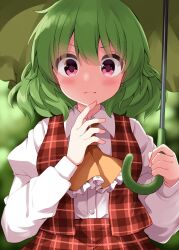 kazami yuuka from touhou by ruu (tksymkw)