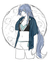 fu hua from honkai (series)