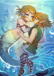 link from the legend of zelda