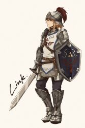 link from the legend of zelda