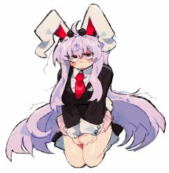 reisen udongein inaba from touhou