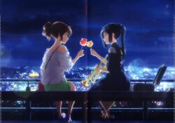 kousaka reina from hibike! euphonium