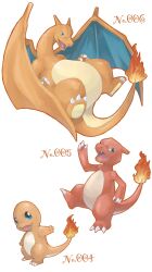 charizard from pokemon